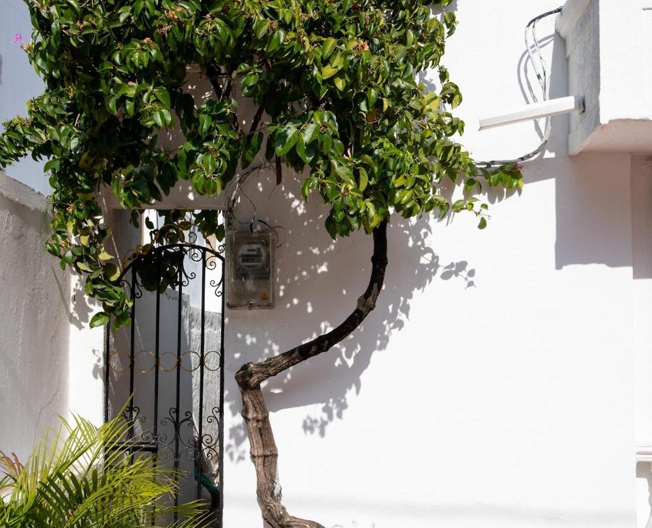 Casa Palmar Cartagena