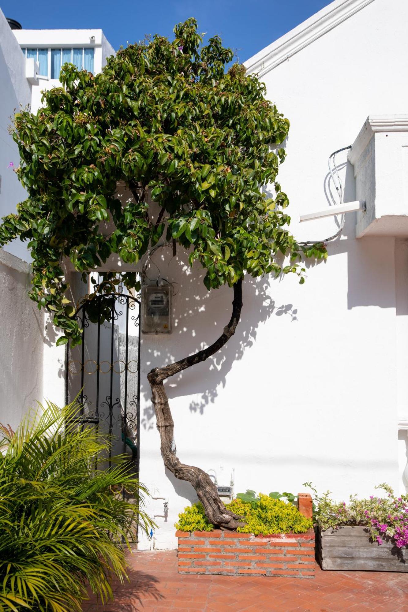 Casa Palmar Cartagena